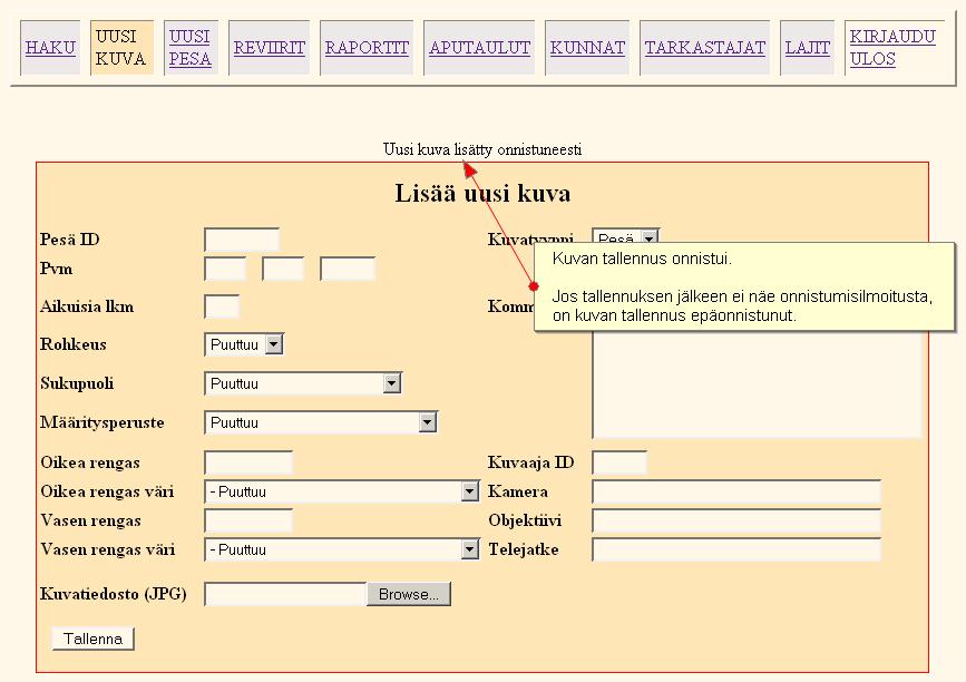 3.4 Raportit Kaikki Merikotka-projektissa