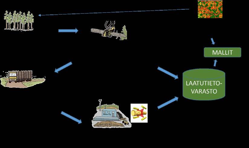 Kuva 1. Periaatekuva laatutietovaraston muodostamisesta. Leimikoiden puuston laatutietoa on tarkoitus hyödyntää erityisesti katkonnan ohjauksessa.
