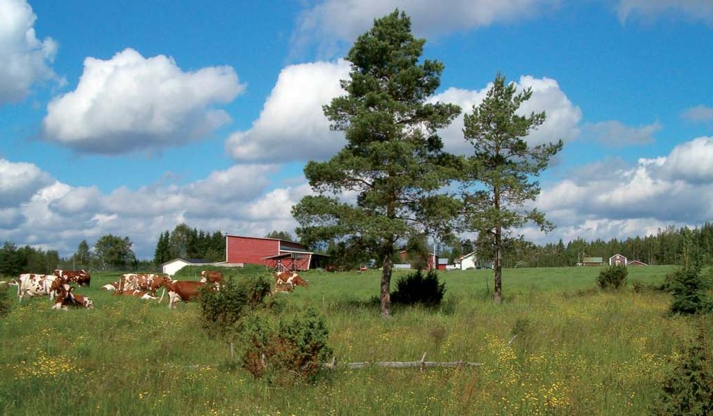 Riikka Nevalainen Monipuolinen ja vaihteleva maatalousmaisema ylläpitää myös rikasta eliölajistoa. Karja ja luonnonlaitumet ovat lajiston kannalta keskeisiä elementtejä.
