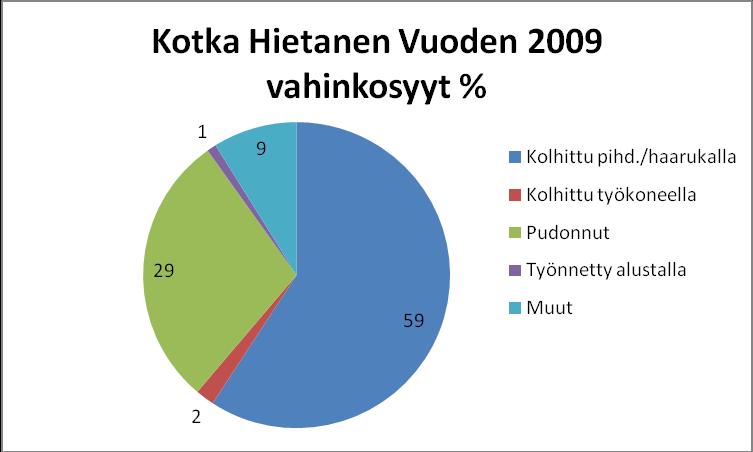 Kuvio 6 Vuoden 2009 vahinkosyyt, Kotka Hietanen Kuviossa 7 on kuvattu Hietasessa tapahtuneet vahingot