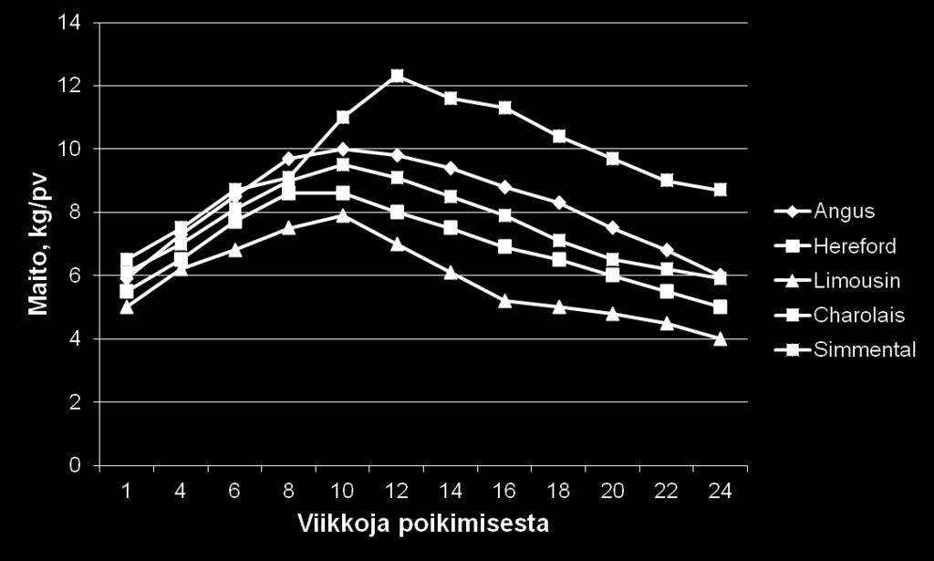 vasikka 15-20 % ravinnon tarve muualta 2) 16 vk vasikka 50 %