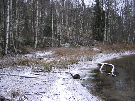 7084 Paljavesi-Niinivesi rantayleiskaavan muutos Yleiskaavan selostus / ehdotusvaihe 4.3.3 - Mikkelin kaupunki 29.12