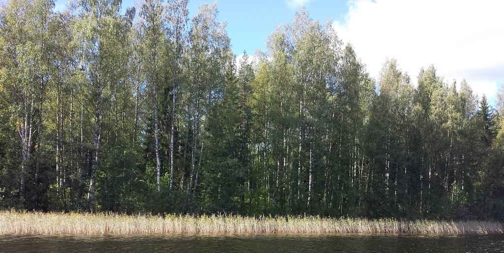 200 metrin päähän kaakkoon päin rakennettavuudeltaan selkeästi parempaan paikkaan Hampun tilan eteläosan ranta-alueelle.