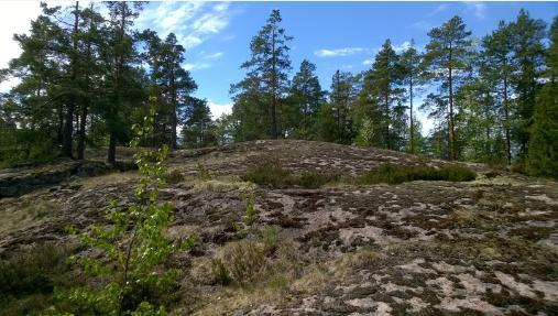 Pyhtää, Pyyhtiäk, Pyyhtää (Pyyhtääjärvi Laukaassa) alkuperä on kuitenkin tuntematon. Pohjoissuomessa esiintyy myös Pyhtinen, Pyhtilä. (Suviranta, Sp.