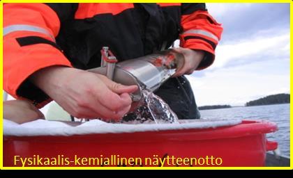 Seurannan pääperiaatteet Seurantatoimi kohdistetaan kunnostustoimelle Mihin asiaan kunnostuksella pyritään vaikuttamaan?