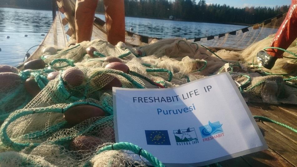 Ristilahden ja Haudanlahden hoitokalastus Saalistavoite mitoitettava fosforipitoisuuteen sekä vesistönosan pinta-alaan (suositus 50 100 kg/ha) Poistotarve Ristilahdella (Haudanlahdella) vähintään 10