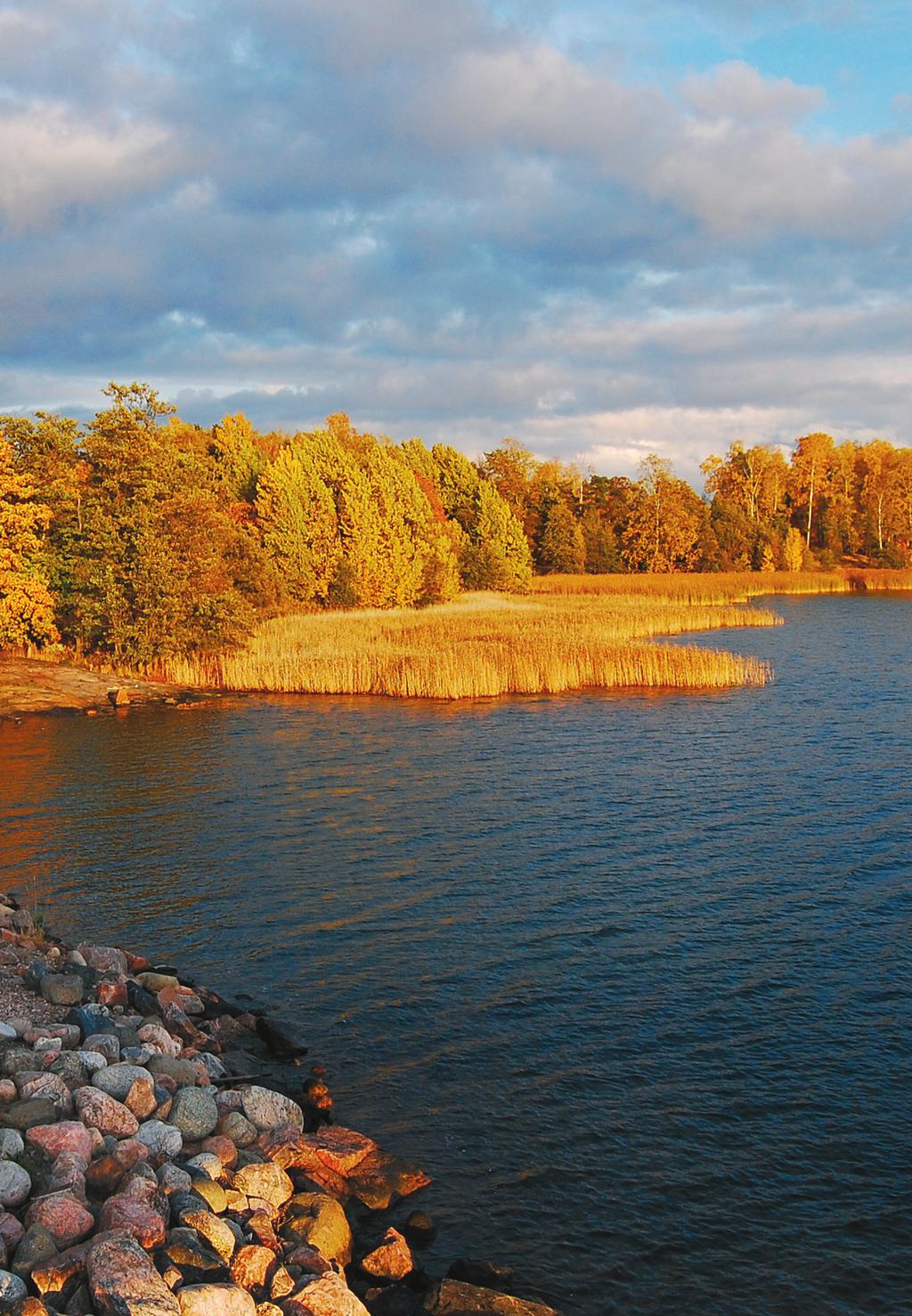 Teleste Oyj PL 323, 20101 Turku Seponkatu 1, 20660 Littoinen Puh 02 2605