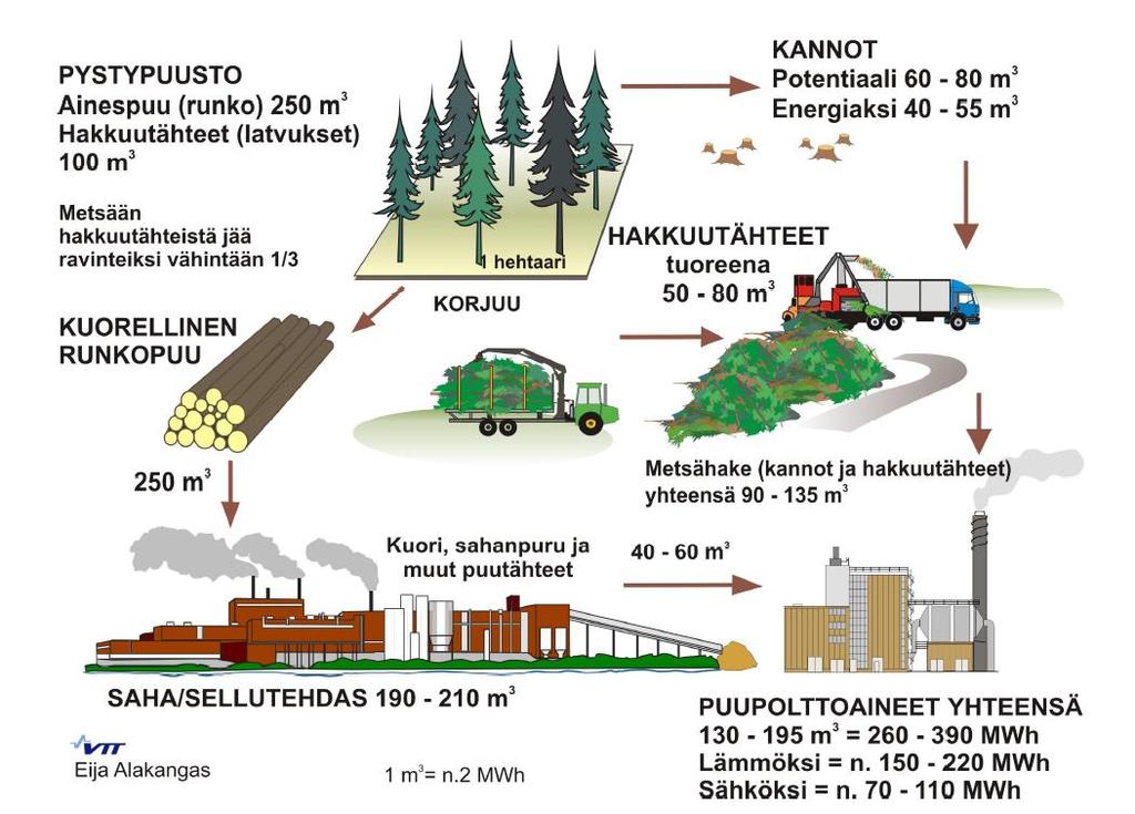 64 KUVA 29. Kuusen keskimääräinen ainespuun ja energiapuun määrä hehtaarilta (Alakangas ym.