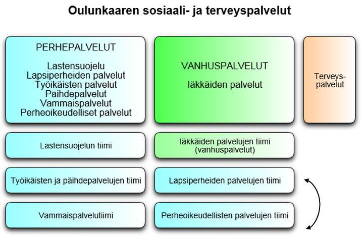 lastensuojelun avohuollon asiakassuunnitelman ja työikäisten palvelutarpeen arvion käyttöönotto Pro Consonassa Iäkkäiden palveluiden/omaishoidon tuen asiakassuunnitelman ja asiakaskertomuksen