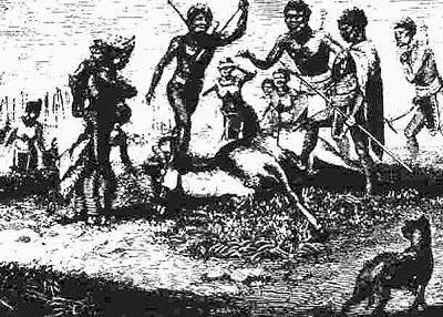 RODUN HISTORIA Jo monta sataa vuotta sitten, kun ensimmäiset eurooppalaiset saapuivat Etelä-Afrikkaan, hottentotit afrikkalainen alkuasukasheimo) käyttivät rhodesiankoiraa muistuttavaa koiraa