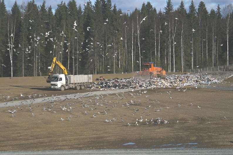 Tarastenjärven jätteenkäsittelykeskuksen lokit 1998-214 - 215 Juvaste, Koskinen 23 Kuva 2.
