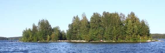 Tarastenjärven jätteenkäsittelykeskuksen lokit 1998-214 - 215 Juvaste, Koskinen 47 Kuva 4.7 Suuremmilla metsäisillä luodoilla pesivien lokkien pesinnät joutuvat usein varisten saaliiksi.
