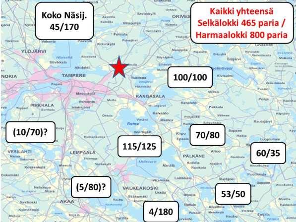 Tarastenjärven jätteenkäsittelykeskuksen lokit 1998-214 - 215 Juvaste, Koskinen 72 Harmaalokkien kokonaisparimääräksi ko. alueella saatiin nyt noin 8 paria ja selkälokkien noin 454 paria. Kuva 5.