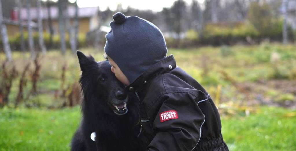 SEY årsberättelse 6 ARBETSGRUPPEN FÖR SEYS MEDLEMSFÖRENINGAR Arbetsgruppen sammankom tre gånger.