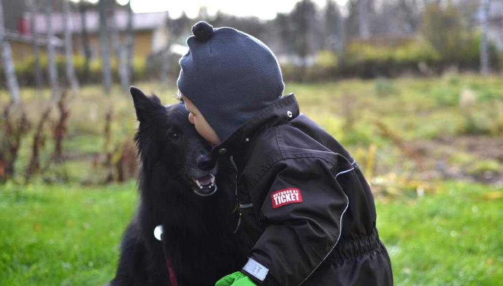SEY vuosikertomus 6 SEYN JÄSENYHDISTYSTYÖRYHMÄ SEYn jäsenyhdistystyöryhmä kokoontui vuoden aikana kolme kertaa. Ydinryhmän lisäksi kokouksiin osallistui muita jäsenyhdistyksien toimijoita.