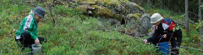 6 Metsien monikäyttö Lähes kaikki suomalaiset virkistäytyvät luonnossa esimerkiksi ulkoillen, marjastaen, sienestäen tai metsästäen.