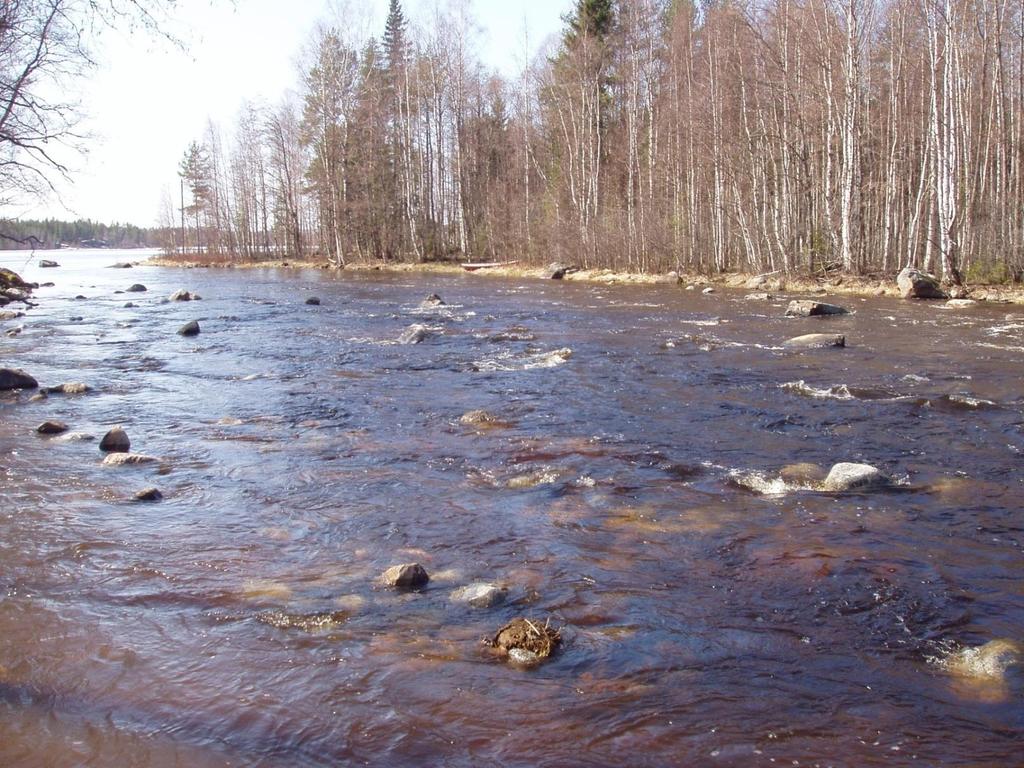 Läsäkosken alaosa, Kangasniemi Kunnostuksen jälkeen