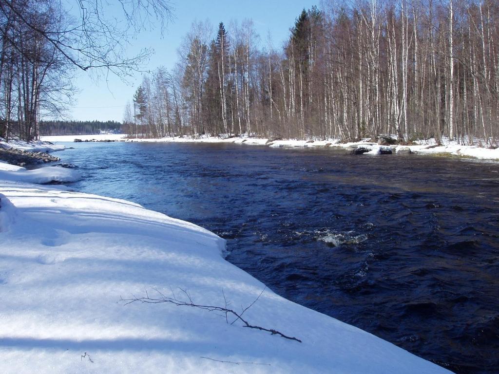 Läsäkosken alaosa, Kangasniemi Ennen kunnostusta (Melontaväylän säilyttäminen, ei muita rajoitteita.