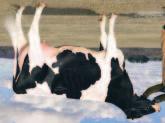 03%+13 Pauna Daughter Fertility -0.8 Rasva +.04%+17 Pauna Soluluku 2.86 CHEESE MERIT $+77 NM$ +40 PL -2.4 ALTA HEALTH +0.08 84% Arv.