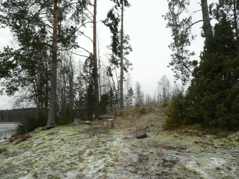 niemen kärjen