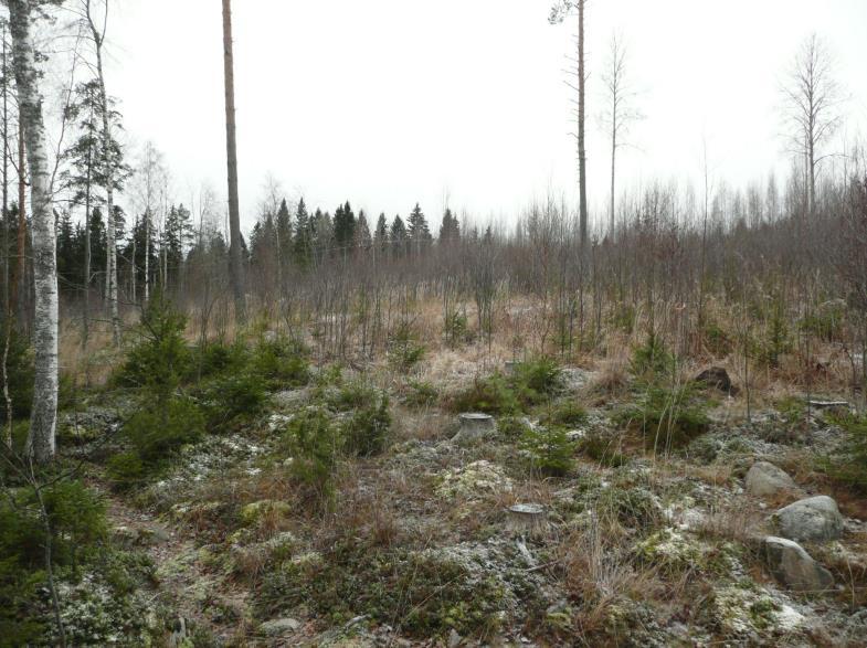 Yllä ja