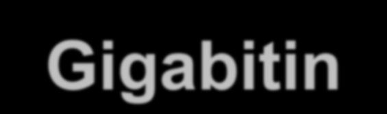 Gigabitin Ethernet (GE): 1 Gbps, 10 Gbps, 40 Gbps, 100 Gbps Edelleen sama kehysformaatti Taaksepäin yhteensopiva Yhteiskäyttöiset linkit edelleen OK Koneiden yhdistely keskittimen välityksellä