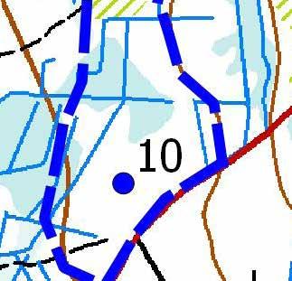 Turbiinipaikka 10 Kasvillisuuskuvaus: Puolukkatyypin (VT) kuivahkon kankaan rehevä sekataimikko, jossa on 2 6 metriä pitkiä puita.