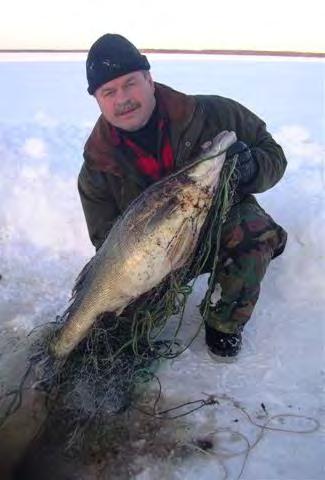 Tutkimus- ja valistushankkeiden esittely Petokalojen järvikohtainen kasvunopeus ja vaellukset Suomunäytteiden kerääminen kalastajilta (yli 300 näytettä yli