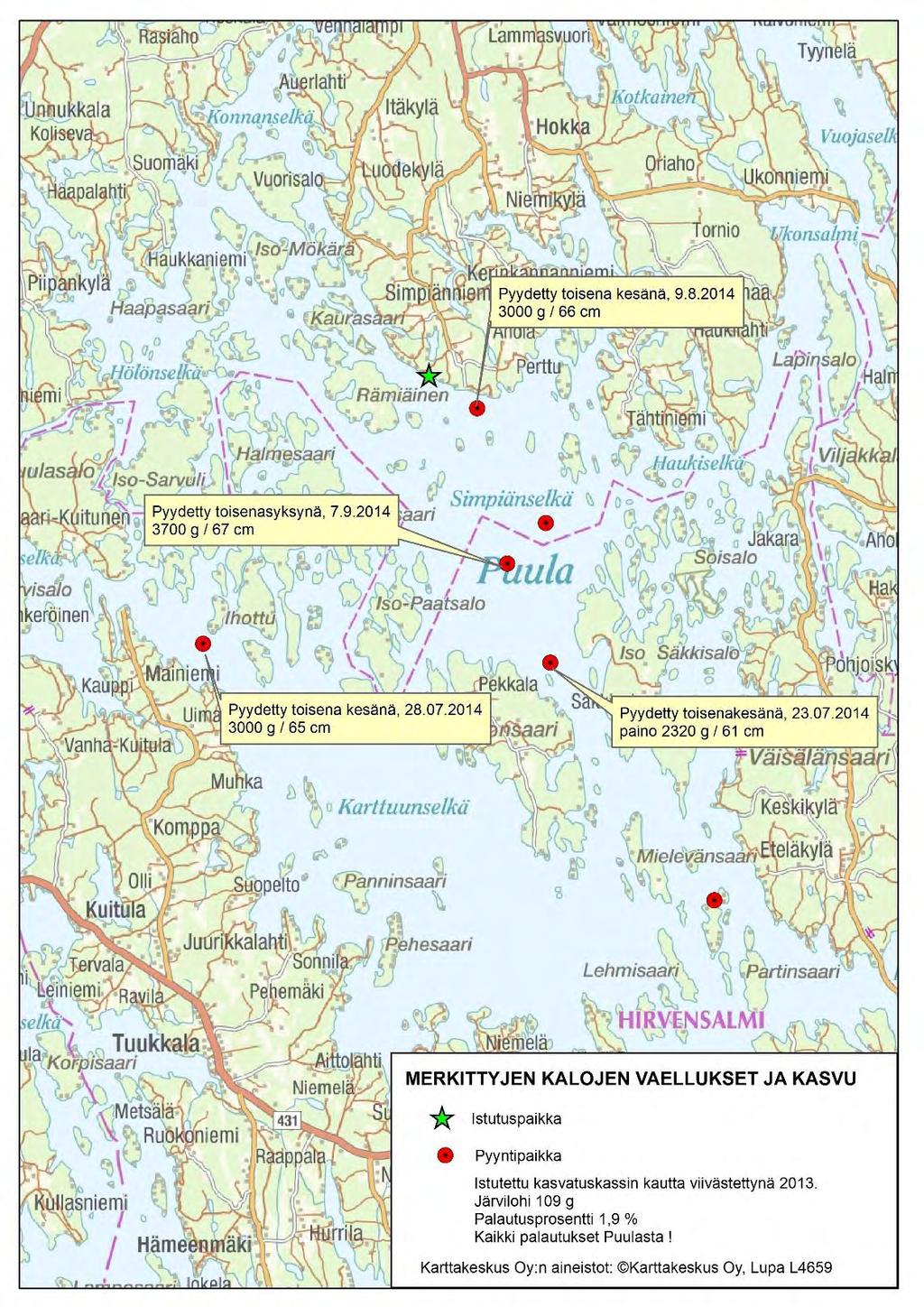 Merkintätutkimuksen tuloksia Puulan kasvatuskassi-istutus 2013 Palautuksia on tullut vain Puulasta PUULAN ISTUTUSKÄYTÄNNÖT 2014 - Järvilohet (2 v)