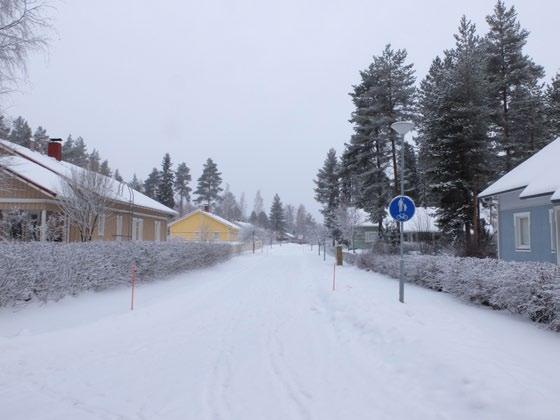 Matti Koivula Siipirikko 1/2017 Matti Koivula Teollisuusalueilla piileskelee aina vähintään jokunen talitiainen ja harakka joutomaa- ja pensaikkokaistaleiden lomassa, ja rakennukset tarjoavat niille