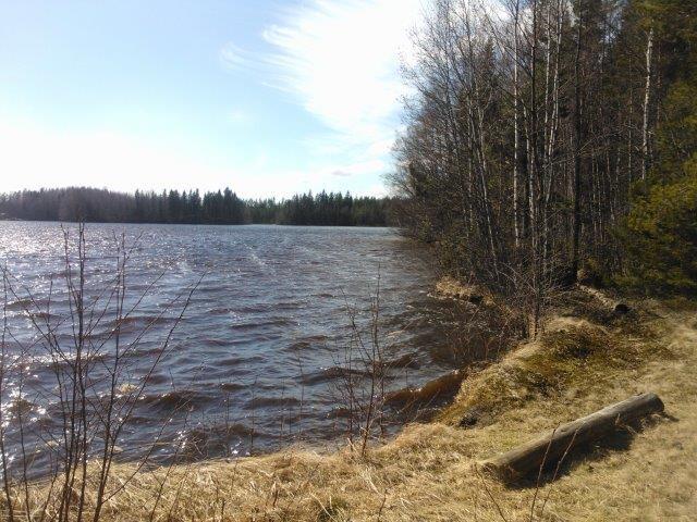 Ahmoolammin rantoja kaupungin uimarannalta länteen päin kuvattuna 4.3 Tekninen huolto Vesi- ja jätehuolto voidaan hoitaa kiinteistökohtaisesti.