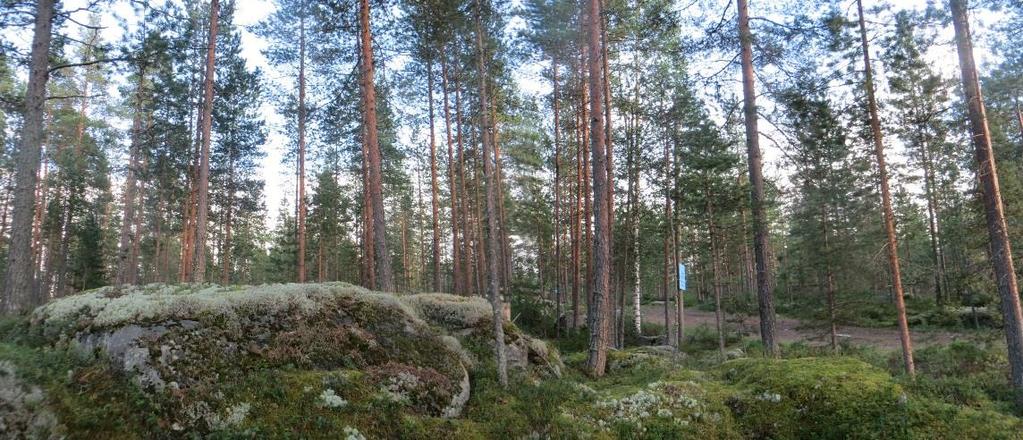 Hienoa hietaa on alueen keskiosassa Töysänjoen tuntumassa ja sen eteläpuolella.