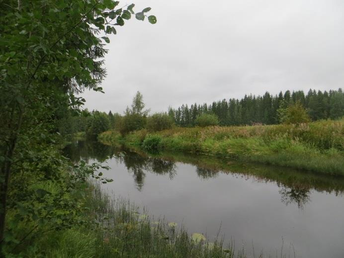 Pinnanmuodoiltaan selvitysalue on loivasti kumpuilevaa. Alueen länsiosassa ja eteläpuolella on kallioisia mäkiä. Alueen korkein kohta on Kuoppavuori 140 m mpy. Keskiosan kankaan korkeus on 120 m mpy.