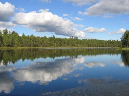 VESIENHOIDON TOTEUTTAMINEN VESISTÖALUEILLA (1) Vesienhoitosuunnitelmat ja toimenpideohjelmat