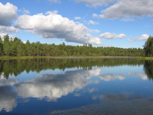 VESIENHOIDON TOTEUTTAMINEN VESISTÖALUEILLA (1) Vesienhoitosuunnitelmat ja toimenpideohjelmat