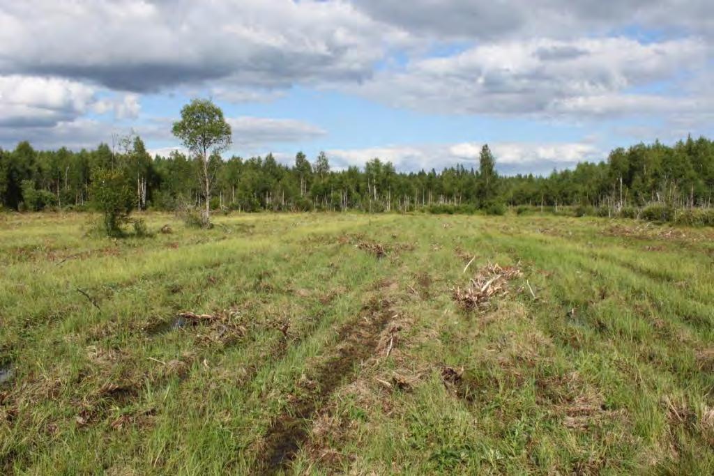 Kuva 16. Näkymä nykyisen huoltouran päästä kohti tulevaa pohjapatoa.