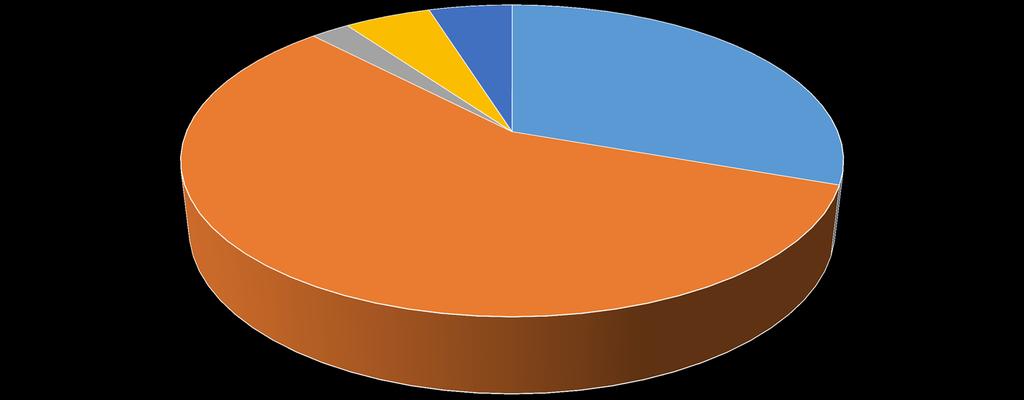 Toimintamenot TA 2017 2 % 5 % 5 % 30 % 58 % HENKILÖSTÖKULUT AINEET,