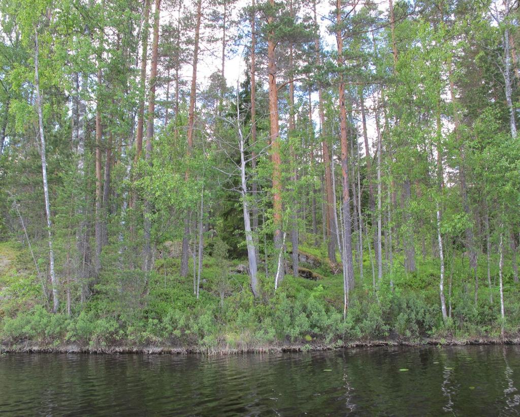 HEINOLA, HIRVISALO, NIEMELÄ