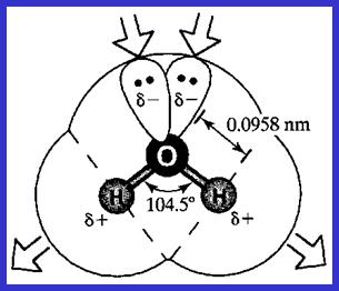 BECS-C2101 Biofysiikka 1 Luento