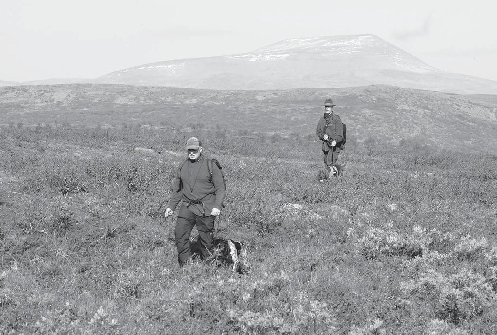 Kuva K. Roiha TUNTURIKOKEET SYYSKUU Su 25.9 AVO, NUO + Noutokoe Inari/ Utsjoki Järjestäjä KKK-HHS ry Ylituomarit (pt) Markku Hakuli. Ilmoittautumiset 10.9. Petri Törrönen Lehmikentäntie 18 B 11 90450 Kempele sähköposti: petri.