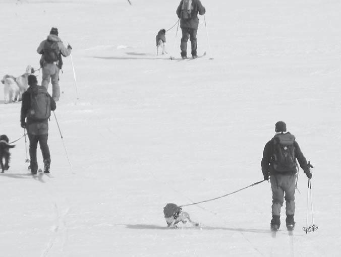 Silloin mieleeni syttyi pieni toivonkipinä, jotta nytkö se vihdoin se ykkönen voisi tulla? No eipä hätää, se kipinä onneksi sammui iltapäivällä 47 min haun jälkeen.