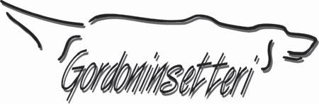 com Fredrik Jansson Jäsen, jalostustoimikunta, yhteydet Pohjoismaihin Perhotie 26 E, 01490 Vantaa p. 040 344 6631 fredrik.jansson@tieto.com Kotisivut: e-mail: www.kkk-hhs.fi gs-jaos@kkk-hhs.