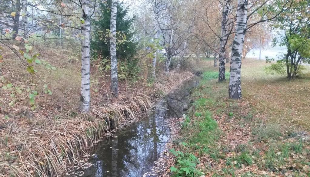 Tauskonoja alittaa Santenin verkkoaidan, joka kerää roskia ylivirtaamalla Niittyhaankadun varressa oja on matala ja