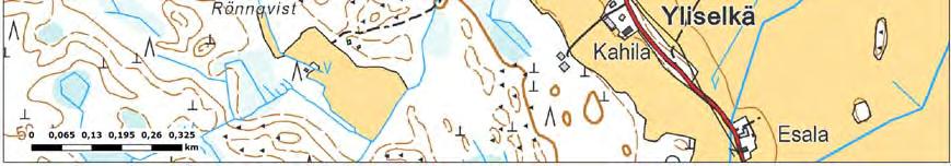 Metsäpohja on tuoretta ja lehtomaista kangasta ja osin