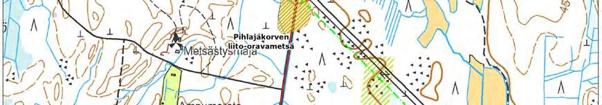 kuusikon metsikkö. Metsäpohja on tuoretta ja lehtomaista kangasta.