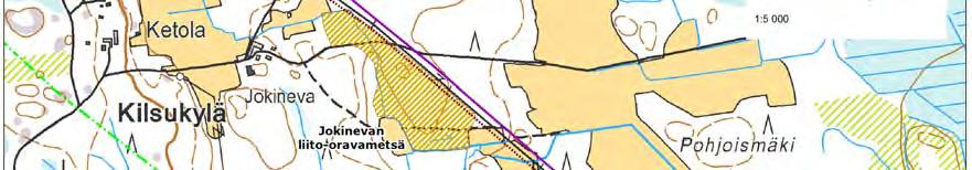 Pohton liito-oravametsä (Kuva 8) Pinta-ala: 8,6 ha Arvoluokka: kansallisesti