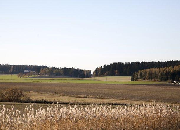Kaava-asiakirjoihin tuodaan viimeisin tieto muinaisjäännöksistä.