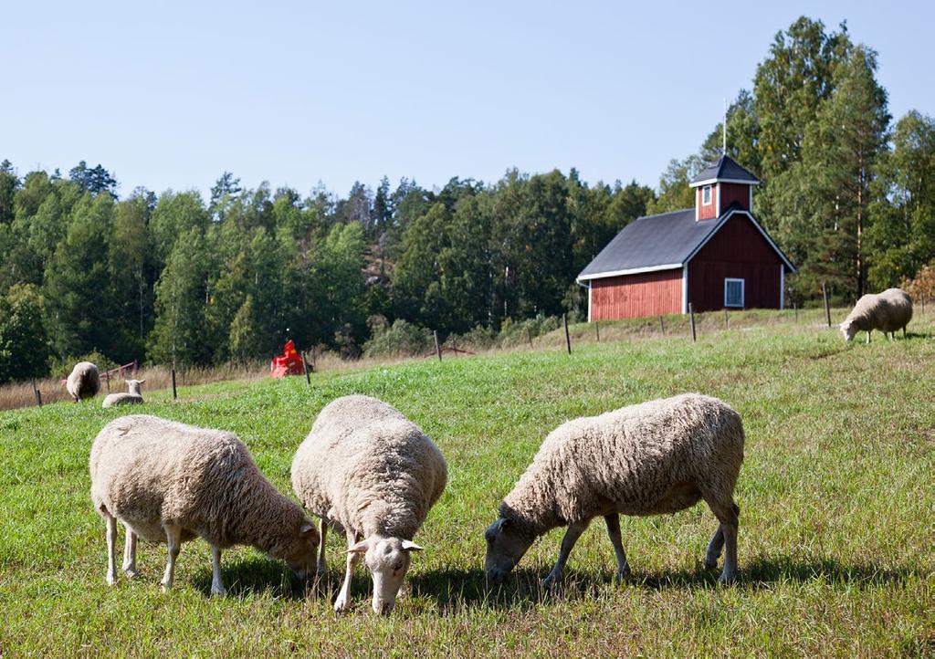 7. VAIKUTUSTEN ARVIOINTI Tässä vaiheessa kulttuuriympäristöjen kokonaiskuvan ja lähtökohtien vaikutusten arviointia ei tehdä, vaan varsinainen vaikutustenarviointi tehdään kaavaluonnoksen yhteydessä.
