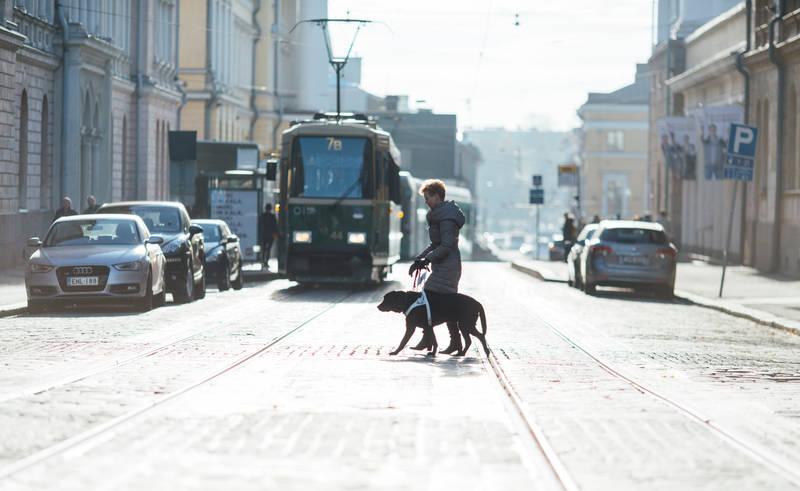 Sukupuolella on merkitystä Julkinen