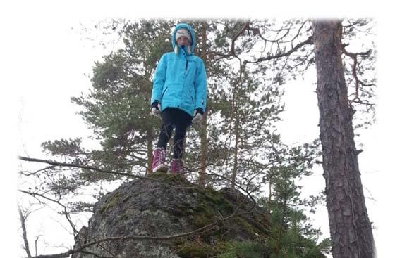 Miehoilan Mustaniemen siirtolohkare Hämeen lääninhallitus 16.2.